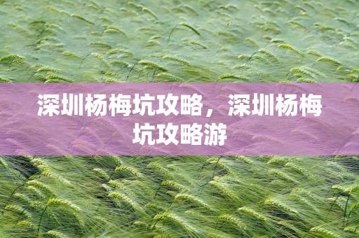 深圳杨梅坑攻略，深圳杨梅坑攻略游