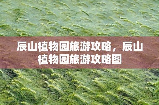 辰山植物园旅游攻略，辰山植物园旅游攻略图