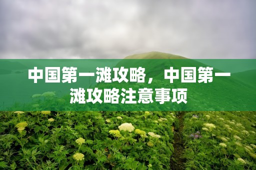 中国第一滩攻略，中国第一滩攻略注意事项