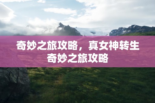 奇妙之旅攻略，真女神转生奇妙之旅攻略