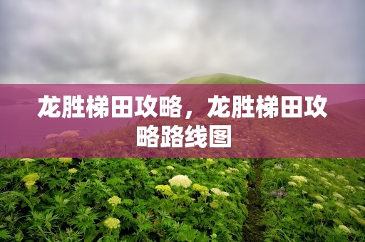 龙胜梯田攻略，龙胜梯田攻略路线图
