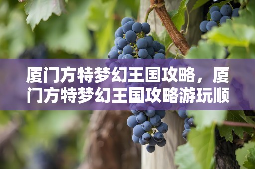 厦门方特梦幻王国攻略，厦门方特梦幻王国攻略游玩顺序