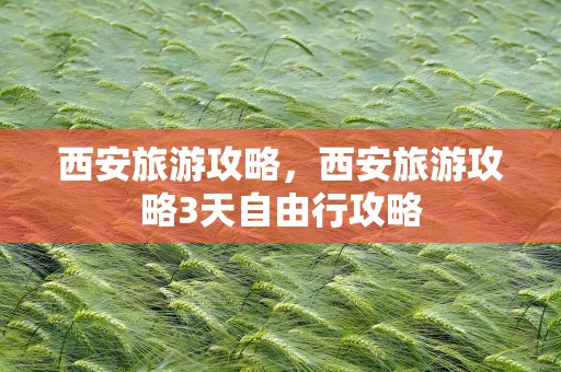 西安旅游攻略，西安旅游攻略3天自由行攻略
