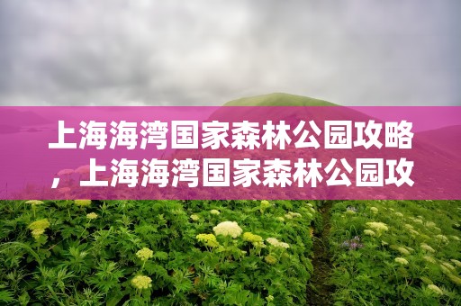 上海海湾国家森林公园攻略，上海海湾国家森林公园攻略一日游