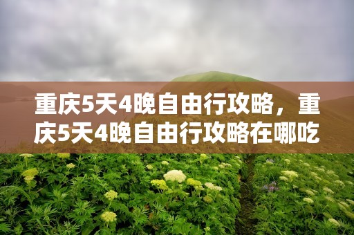 重庆5天4晚自由行攻略，重庆5天4晚自由行攻略在哪吃在哪住