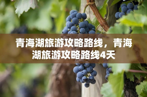 青海湖旅游攻略路线，青海湖旅游攻略路线4天