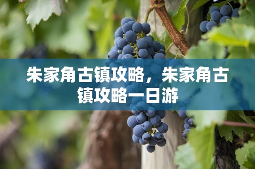 朱家角古镇攻略，朱家角古镇攻略一日游