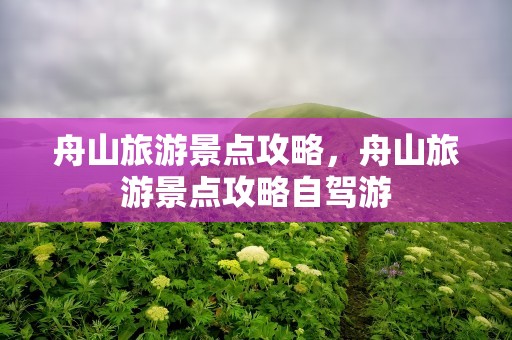 舟山旅游景点攻略，舟山旅游景点攻略自驾游