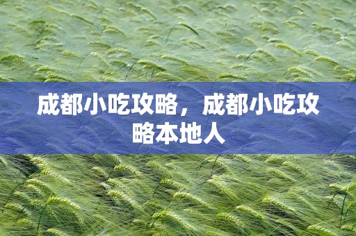 成都小吃攻略，成都小吃攻略本地人