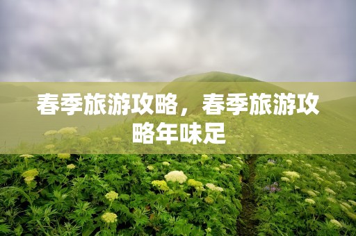 春季旅游攻略，春季旅游攻略年味足