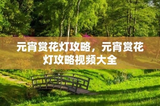 元宵赏花灯攻略，元宵赏花灯攻略视频大全