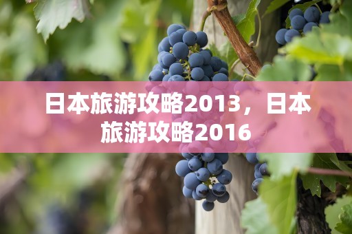 日本旅游攻略2013，日本旅游攻略2016