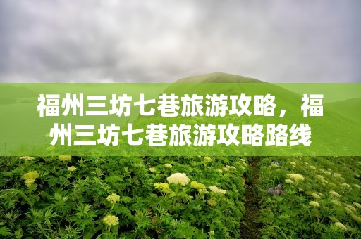 福州三坊七巷旅游攻略，福州三坊七巷旅游攻略路线