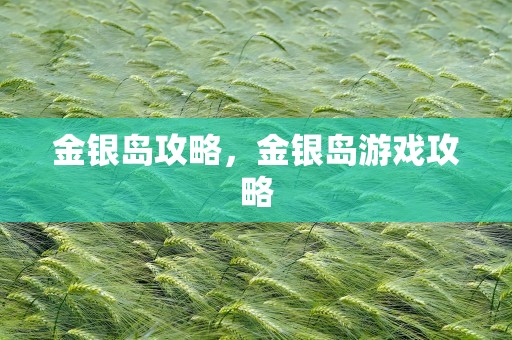 金银岛攻略，金银岛游戏攻略