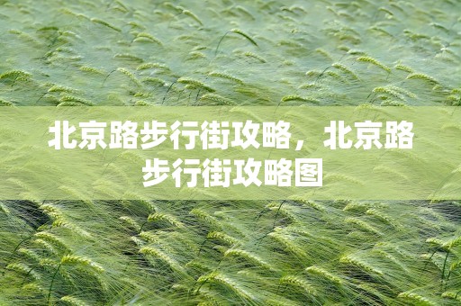 北京路步行街攻略，北京路步行街攻略图