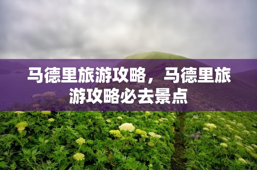 马德里旅游攻略，马德里旅游攻略必去景点