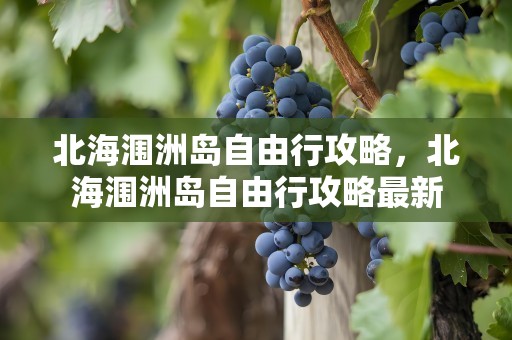 北海涠洲岛自由行攻略，北海涠洲岛自由行攻略最新