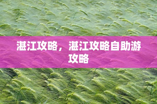 湛江攻略，湛江攻略自助游攻略