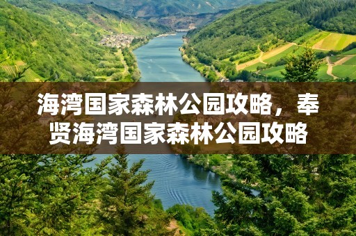 海湾国家森林公园攻略，奉贤海湾国家森林公园攻略
