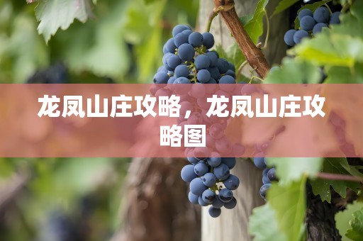 龙凤山庄攻略，龙凤山庄攻略图