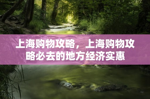 上海购物攻略，上海购物攻略必去的地方经济实惠