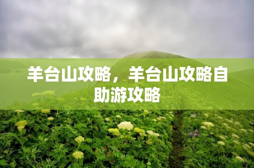 羊台山攻略，羊台山攻略自助游攻略