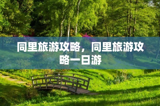 同里旅游攻略，同里旅游攻略一日游