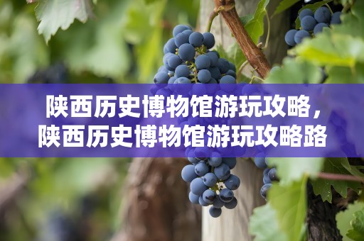 陕西历史博物馆游玩攻略，陕西历史博物馆游玩攻略路线