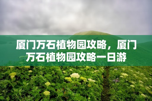 厦门万石植物园攻略，厦门万石植物园攻略一日游