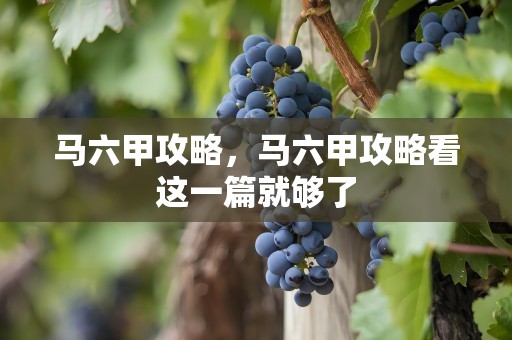 马六甲攻略，马六甲攻略看这一篇就够了