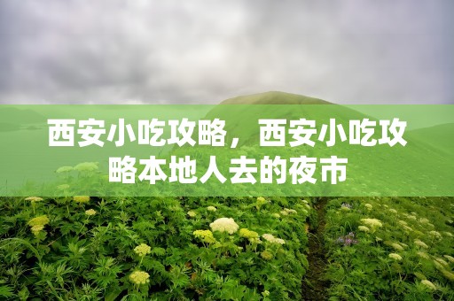 西安小吃攻略，西安小吃攻略本地人去的夜市