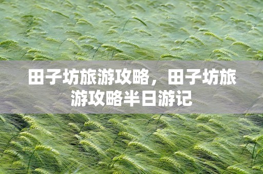 田子坊旅游攻略，田子坊旅游攻略半日游记
