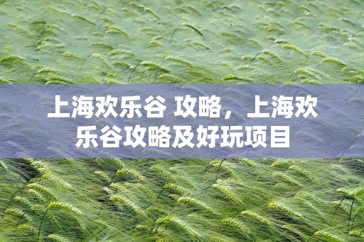 上海欢乐谷 攻略，上海欢乐谷攻略及好玩项目
