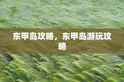 东甲岛攻略，东甲岛游玩攻略