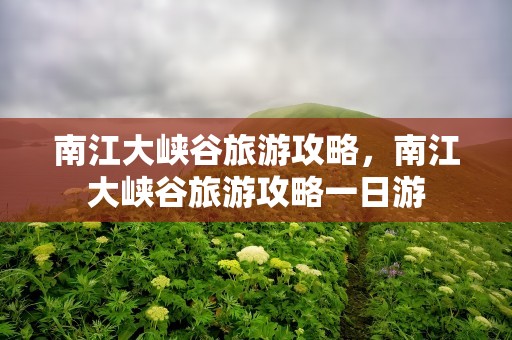南江大峡谷旅游攻略，南江大峡谷旅游攻略一日游