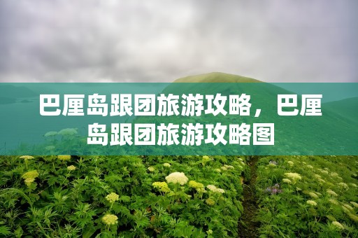 巴厘岛跟团旅游攻略，巴厘岛跟团旅游攻略图