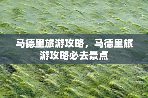 马德里旅游攻略，马德里旅游攻略必去景点