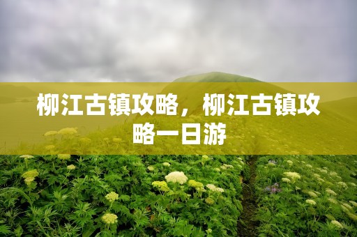柳江古镇攻略，柳江古镇攻略一日游