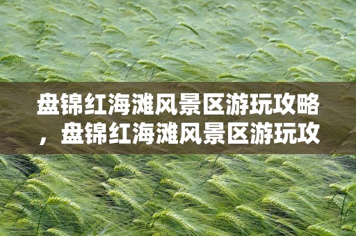 盘锦红海滩风景区游玩攻略，盘锦红海滩风景区游玩攻略图