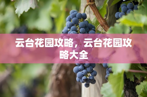 云台花园攻略，云台花园攻略大全