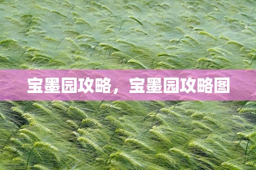 宝墨园攻略，宝墨园攻略图