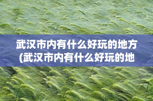 武汉市内有什么好玩的地方(武汉市内有什么好玩的地方吗)