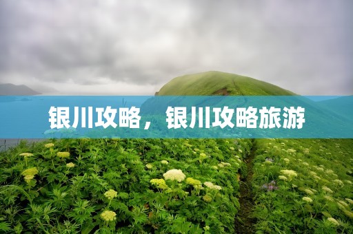 银川攻略，银川攻略旅游