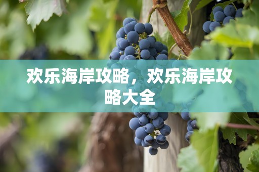 欢乐海岸攻略，欢乐海岸攻略大全