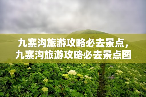九寨沟旅游攻略必去景点，九寨沟旅游攻略必去景点图片