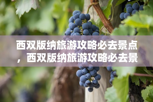 西双版纳旅游攻略必去景点，西双版纳旅游攻略必去景点推荐