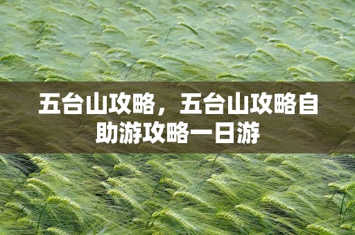 五台山攻略，五台山攻略自助游攻略一日游
