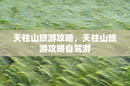 天柱山旅游攻略，天柱山旅游攻略自驾游