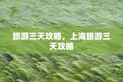 旅游三天攻略，上海旅游三天攻略