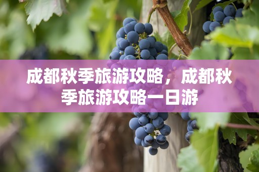 成都秋季旅游攻略，成都秋季旅游攻略一日游